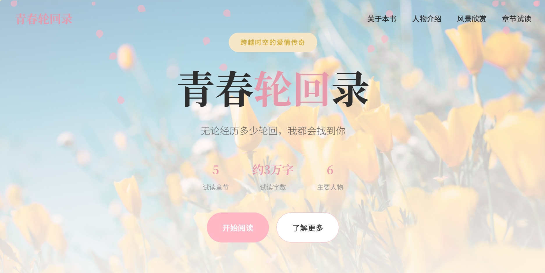 青春轮回录